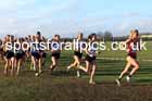 Senior Womens 2026 Northern Cross Country Champs., Pontefract Racecourse, Pontefract. Photo: David T. Hewitson/Sports for All Pics